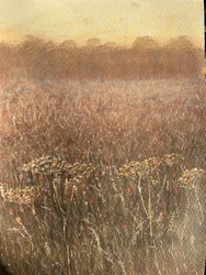 Champ de haricots au crépuscule