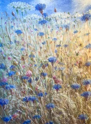 Bleuets 2