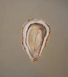 Huître 1