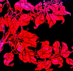 Rouge pour la sœur de William, 2017 (technique mixte)