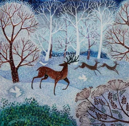 Cerf cool