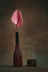 Anthurium et radio élégants
