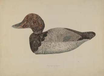 Canard Leurre #1