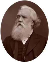 Le très honorable Austen Henry Layard DCL, ambassadeur britannique à Constantinople, 1877