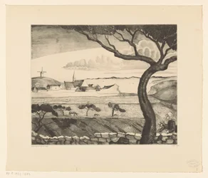 Paysage côtier avec chemin