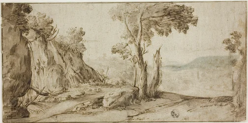 Rochers et arbres au bord de la colline