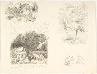 Quatre esquisses pour des illustrations de La Crapaudine, Nouveaux Contes et Histoires de H.C. Andersen