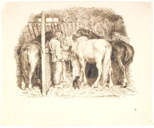 Chevaux dans une étable recevant de l