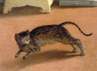 Chat terrifié, (détail) de l