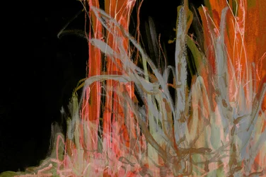 Lignes organiques flamboyantes