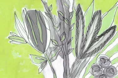 Produits botaniques verts frais