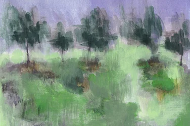 Paysage vert brumeux