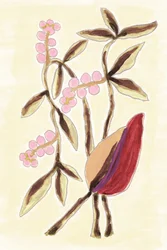 Pink Berry Botanicals