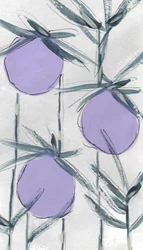 Fruits botaniques violets