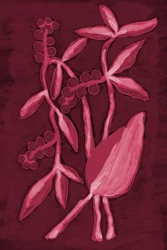 Seed Pod 1 Rouge cerise