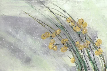 Délicates fleurs jaunes