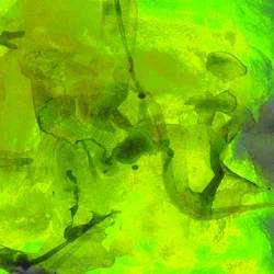 Abstrait fluide vert vif