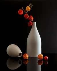 Nature morte avec lanterne chinoise moderne