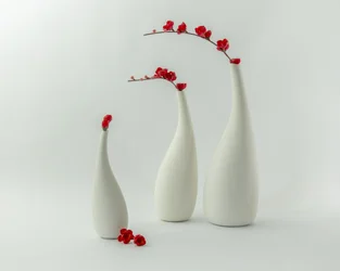 Vases rouges et fleurs