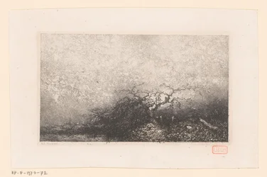 Paysage avec un arbre près d