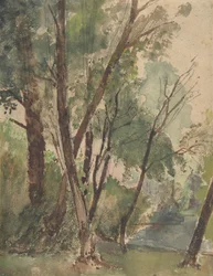 Arbres au bord d