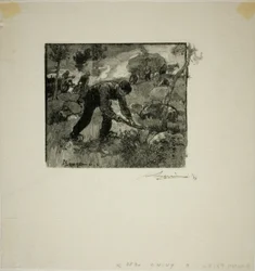 Extracteurs de racines