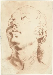 Feuille d