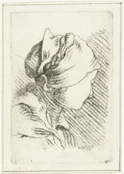 Feuille d