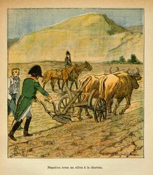Illustration de Louis Bombled (1862-1927) du livre « Le Mémorial de Sainte-Hélène » par le comte Emmanuel de Las Cases (1766-1842) : À Sainte-Hélène, l