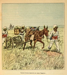 La Guerre à Madagascar - Histoire anecdotique des expéditions françaises de 1885-1895 par Henri Galli dit Galllichet, illustrée par Louis Bombled : Canons Hovas ramenés au camp français