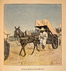 La Guerre à Madagascar : Convoi de malades évacués sur Marololo