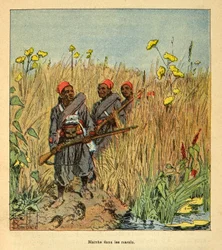 La guerre à Madagascar - Histoire anecdotique des expéditions françaises de 1885-1895 par Henri Galli dit Galllichet (1854-1922), illustrée par Louis Bombled (1862-1927) : Troupes françaises en expédition dans les marais à Madagascar en 1895, Collection pr