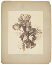 Tiffany Studios