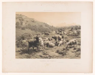 Bergère avec chèvres et moutons dans les Pyrénées