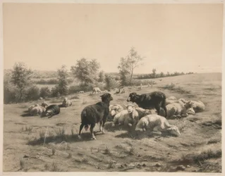 Les Moutons