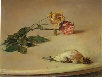 Oiseau mort et deux roses sur un plateau de table