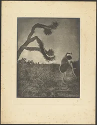 Danse Apache