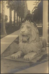 [Enfant sur une statue de lion]