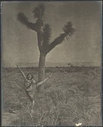 [Danseuse à Joshua Tree]
