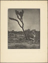 [Danseuse à Joshua Tree]