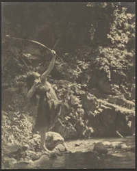 [Archer féminin dans les bois]