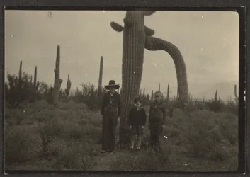 [Figures avec cactus]
