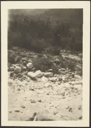 [Paysage]