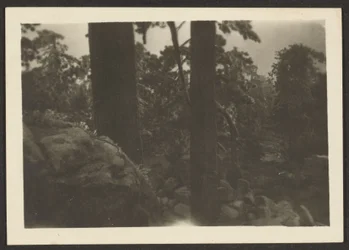 [Paysage]
