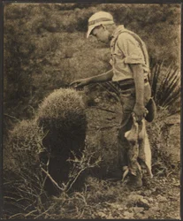 [Un homme avec des lièvres]