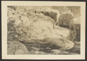 [Paysage rocheux]