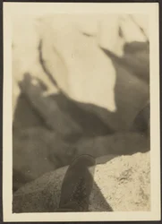 [Chaussure sur rochers]