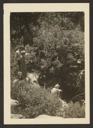 [Printemps à Fern Valley]