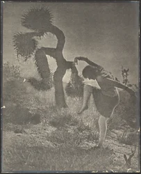 Le Joshua clownesque