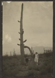 [Femme et enfant avec un cactus]